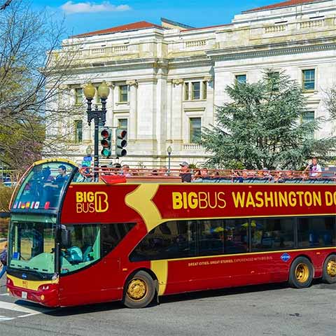 Big bus, Washington.