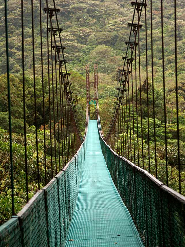 Hanging Bridges in Cloudforest - Costa Rica Monteverde. ©Arnoldo Robert.