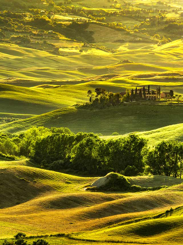 Tuscany’s rolling hills. ©StevanZZ.