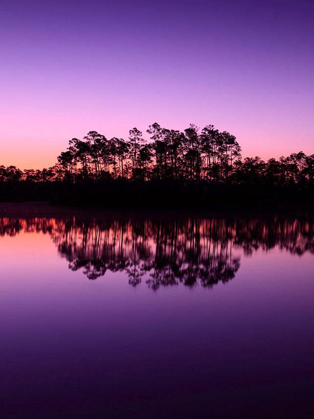 Sunrise at Everglades National Park, Miami. Photo credit: THEPALMER.