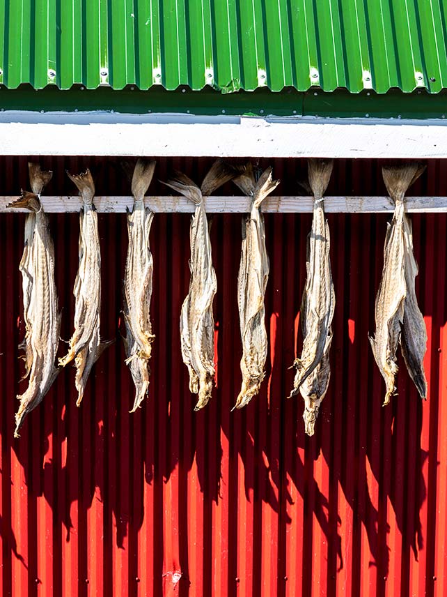 Dried stockfish, Norway. © Roberto Moiola / Sysaworld.