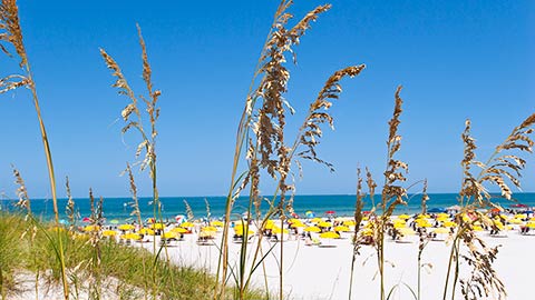 Florida Gulf Coast Holidays.