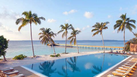 Alojamiento - Reethi Faru Resort - Vista al Piscina - Maldives